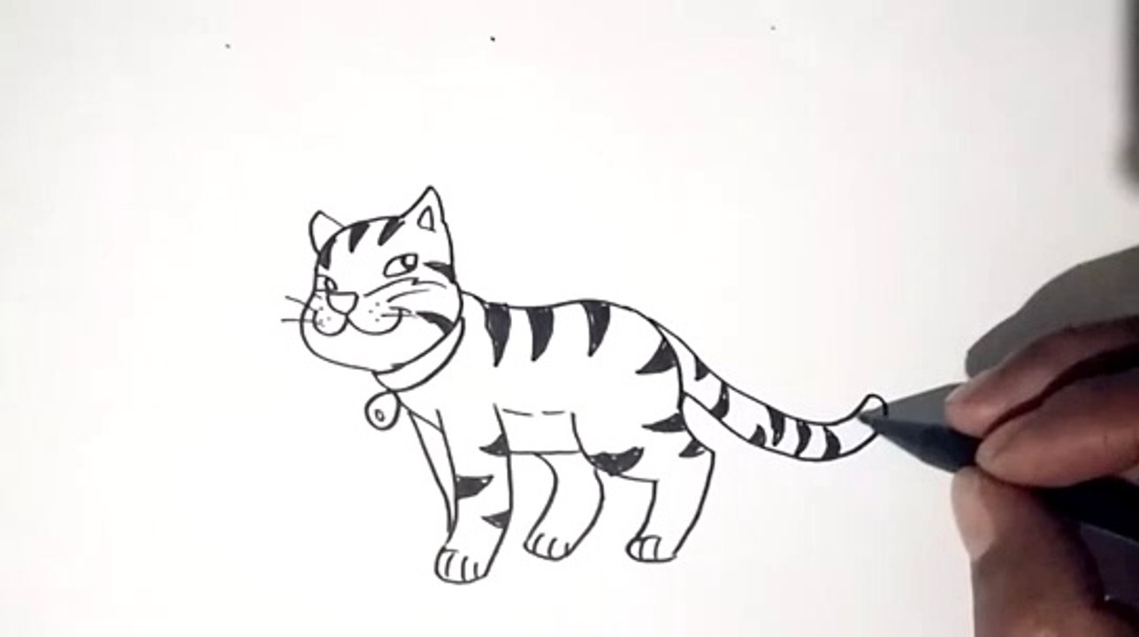 cara mudah menggambar kucing