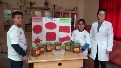 Tatvan'daki "4006 Tübitak Bilim Fuarı"