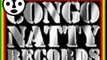 x project - set it - ( congo natty records 1993 )