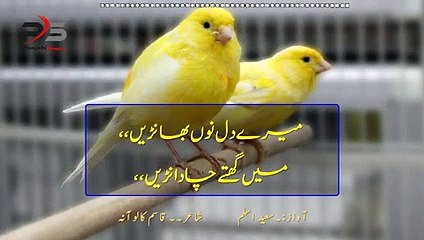 Muhabat de qaidi hert touching poetry