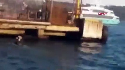 Beşiktaş'ta dehşet ! Otobüs durağa daldı, şoför bir kişiyi bıçakladı