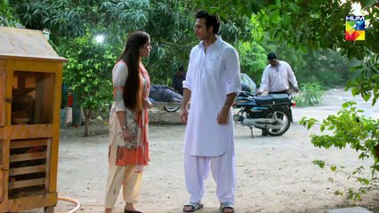 Deewar e Shab Episode 21 HUM TV Drama 2 November 2019
