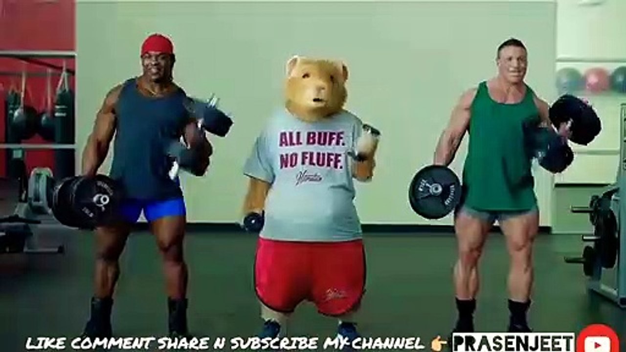 animals funny video,comedy