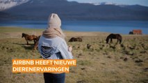 Boek een geweldige dierenervaring via Airbnb