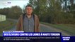 Une douzaine d'éleveurs français vont engager des procédures judiciaires contre les lignes à haute tension