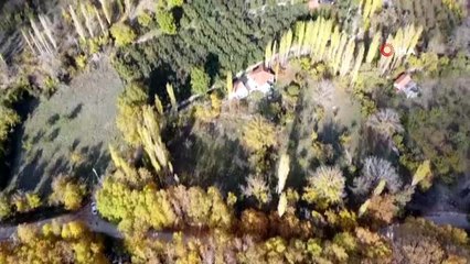 Antalya'da renklerin sonbahar dansı