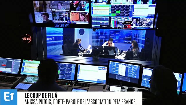 Grande-Bretagne : la reine Elisabeth II abandonne la fourrure animale, une victoire pour la porte-parole de Peta France