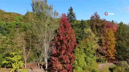 Atatürk Arboretumu’nda sonbahar manzaraları