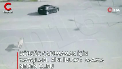 Köpeğe çarpmamak için yavaşladı, zincirleme kazaya neden oldu