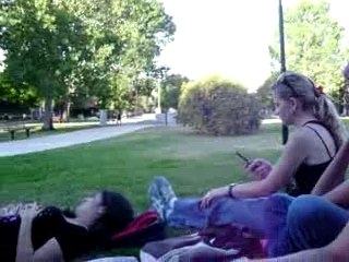 EL pensamiento de las gaviotas y una planta especial