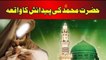 Hazrat Muhammad saw ki paidaish ka waqia | Prophet Mohammad Birth Story | Raza Saqib Mustafai