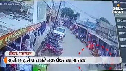 पांच घंटे तक पैंथर का आतंक, कभी मुख्य बाजार में दौड़ा तो कभी इधर उधर भागकर मचाई दहशत