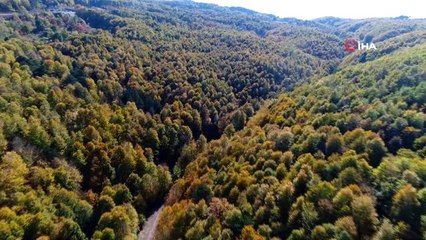 Uludağ'da renk cümbüşü