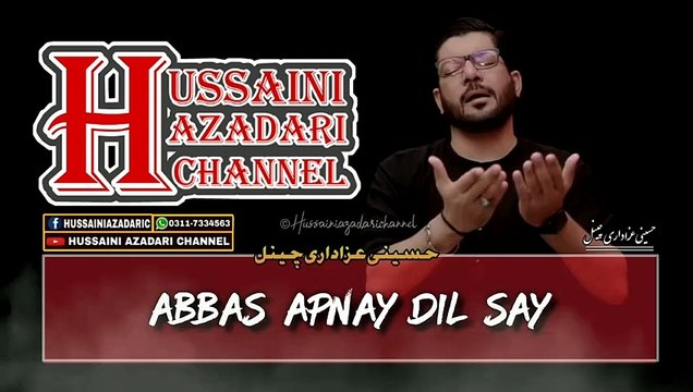 Noha Status 2019 | Hur Araha Hai Akbar | Mir Hasan Mir New Noha Status 2019 | Hussaini Azadari Channel