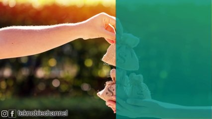 5 Cara Meningkatkan Closing Rate Bisnis Online