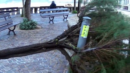 Storm Amelie pummels France with high winds and heavy rains