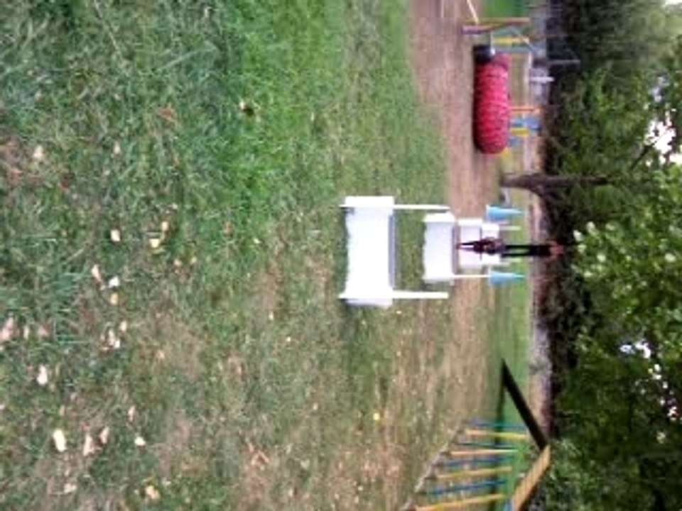 Tequila-flyball 1