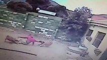 Un cambrioleur tombe sur deux chiens et passe un sale moment