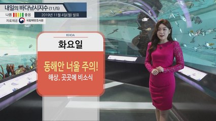 [내일의 바다낚시 지수]11월 05일 동해안 너울 주의! 해상 곳곳 비소식 / YTN