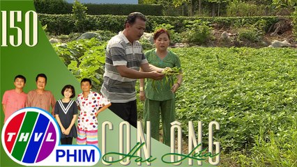 Con ông Hai Lúa - Tập 150[1]: Nạn chuột "hoành hành" xóm Xẻo Lá