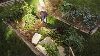 Jardin - Le potager rentre en sommeil