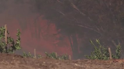 Nuevos focos de fuego amenazan el norte de Los Ángeles