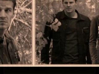 David boréanaz angel