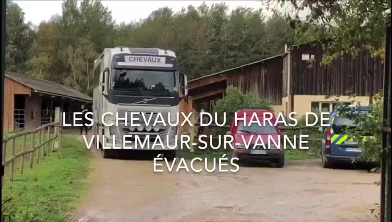 Une trentaine de chevaux évacués du haras de Villemaur