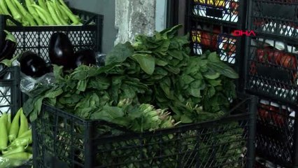 Bayrampaşa halinde ıspanak numunesi alındı
