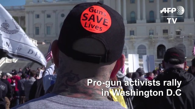 US: hundreds of pro-gun protesters rally in Washington