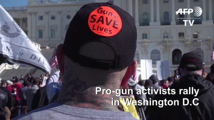 US: hundreds of pro-gun protesters rally in Washington