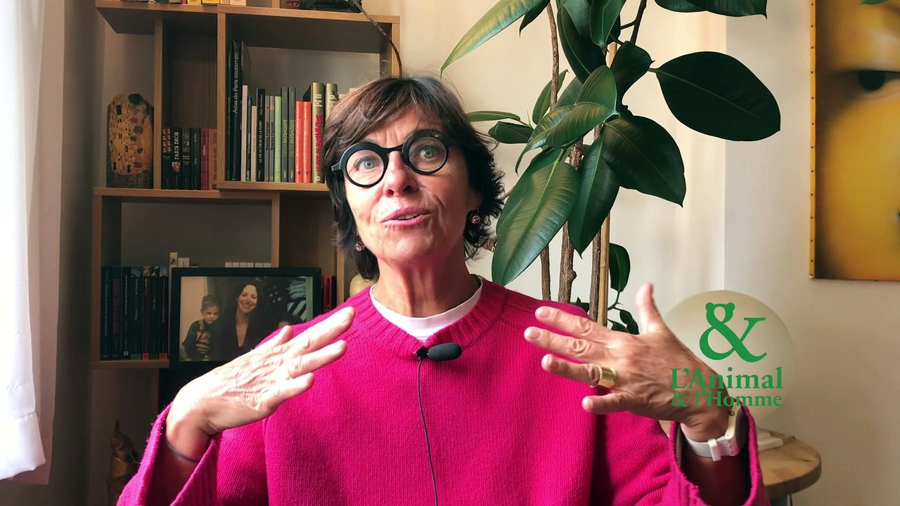 Interview 1 de Vinciane Despret : Habiter comme un oiseau