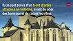 Oloron-Sainte-Marie : la cathédrale attaquée à la voiture-bélier