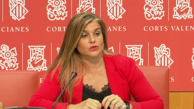 PPCV ve posible fraude en subvenciones a empresas del hermano de Puig