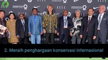 5 Fakta Hutan di Timur Indonesia Yang Jarang Kamu Ketahui!