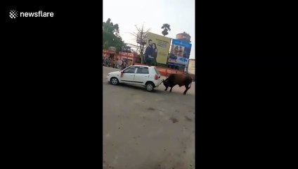 Furious bull smashes up small car honking it on road in east India