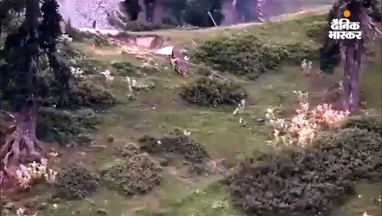 पाक सेना के सामने भारतीय फौज ने दिखाया सफेद झंडा