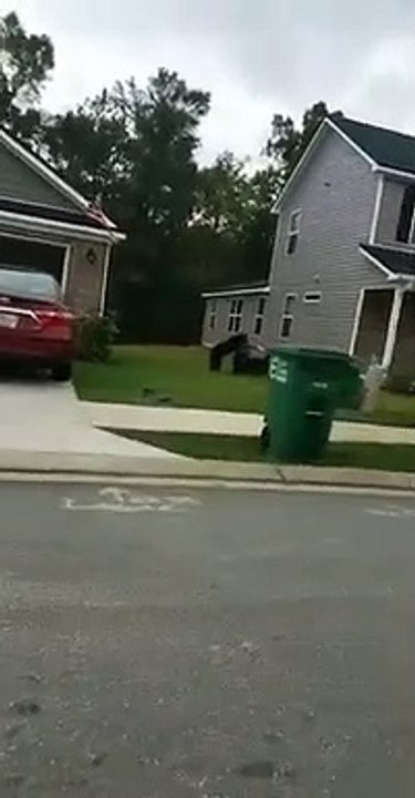 Affamé, cet ours emporte une poubelle entière dans les bois