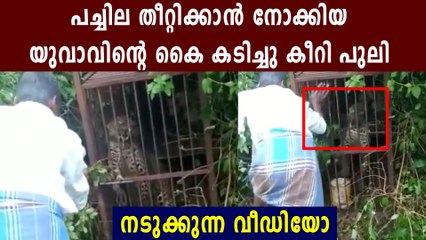 Leopard @ttacked man who give green leaf | Oneindia Malayalam