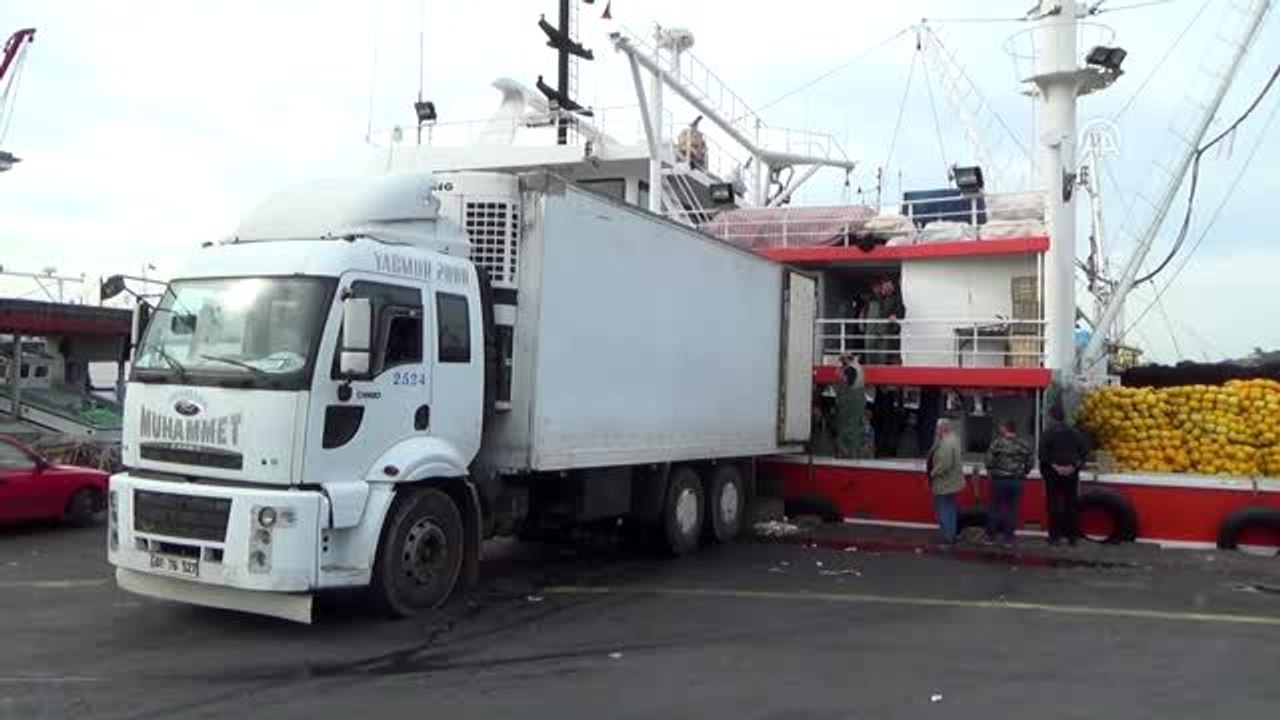 Batı Karadeniz'de hamsi bolluğu yüzleri güldürdü