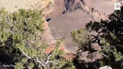 Elle manque de tomber dans le vide en prenant une photo au Grand Canyon