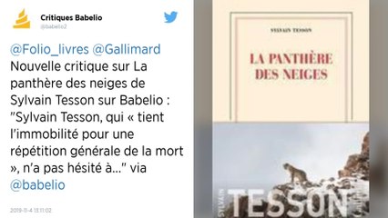 Sylvain Tesson remporte le prix Renaudot 2019 pour « La Panthère des neiges »