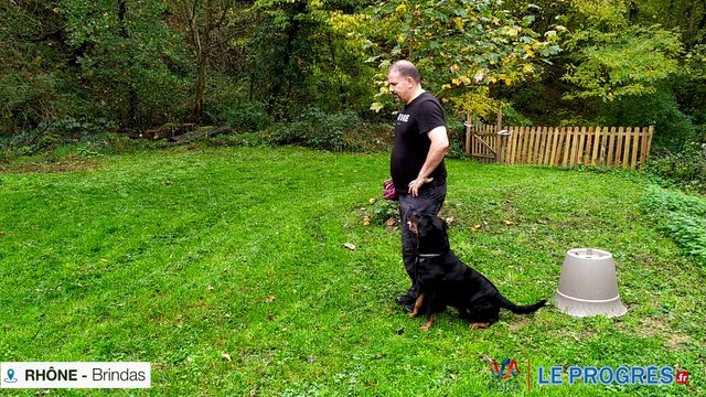 Stéphane Granet et sa chienne Nex du clos Lenka s'entrainent au dog dancing