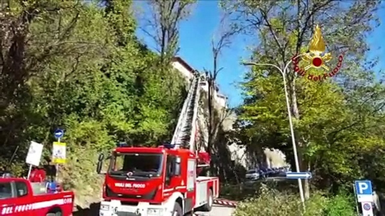 Ascoli Piceno - Vento forte, rimossi rami pericolanti (04.11.19)