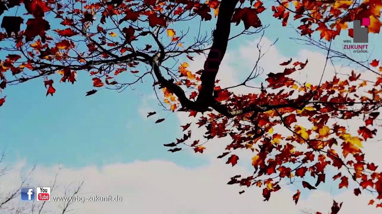 Wir sollten uns bewusst sein, dass die gelebte Wirklichkeit kein Traum ist. Träumen können wir von der Zukunft! - WBG Zukunft eG - Karrideo Image- und Eventfilmproduktion©®™