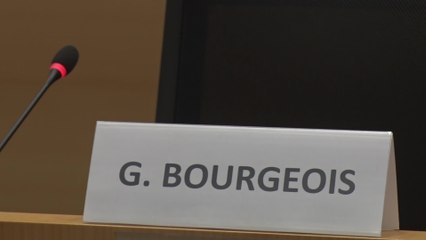 Le Roi entame des consultations