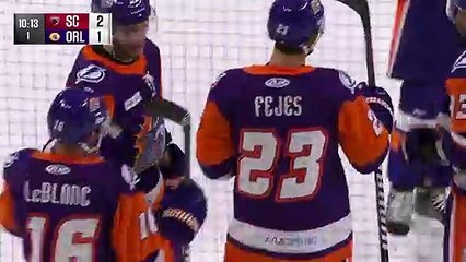 South Carolina Stingrays vs Orlando Solar Bears