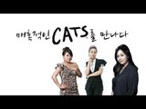 EN - 매혹적인 'CATS'를 만나다