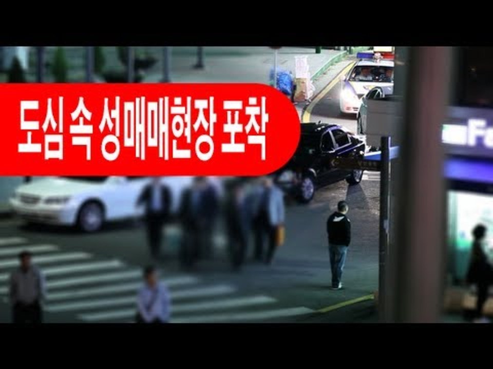 NocutView - 도심속 성매매 현장 포착