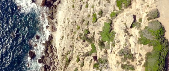 Explorez Majorque en scooter 🚲